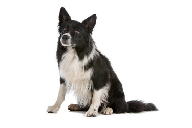 Similar image 1472568