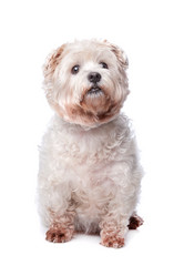 Similar image 1472573