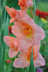 Similar image 1472575