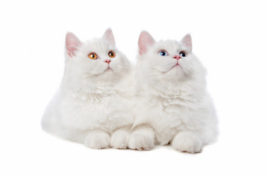 Similar image 1472585