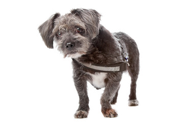 Similar image 1472593