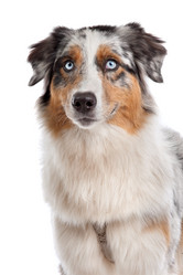 Similar image 1472603