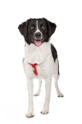 Similar image 1472610