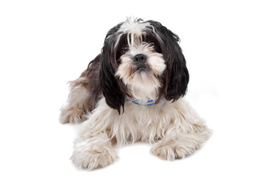 Similar image 1472612