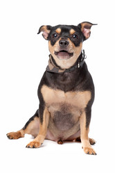 Similar image 1472621