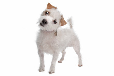 Similar image 1472622