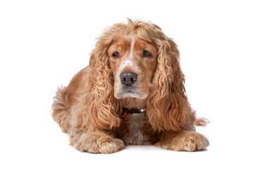 Similar image 1472629