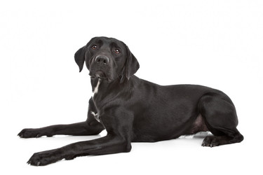 Similar image 1472639