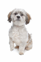 Similar image 1472640