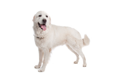 Similar image 1472641