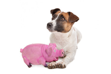 Similar image 1472645