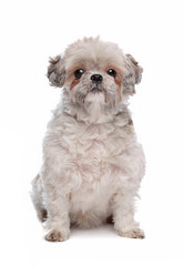 Similar image 1472646