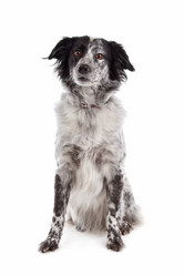 Similar image 1472650