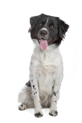 Similar image 1472660