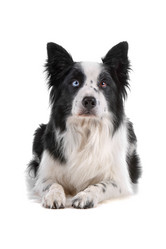 Similar image 1472668