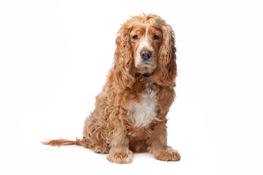 Similar image 1472679