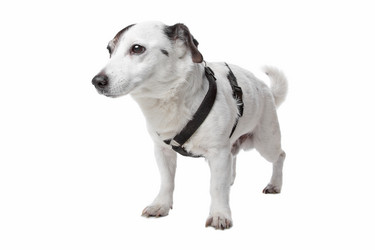 Similar image 1472680