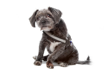 Similar image 1472685