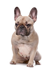 Similar image 1472689