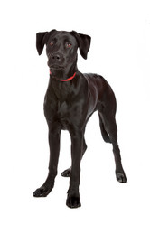 Similar image 1472698