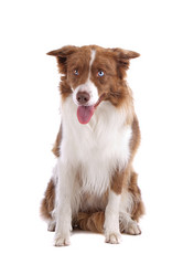 Similar image 1472705