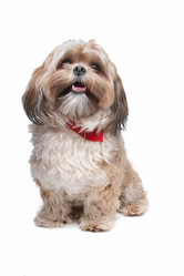 Similar image 1472708