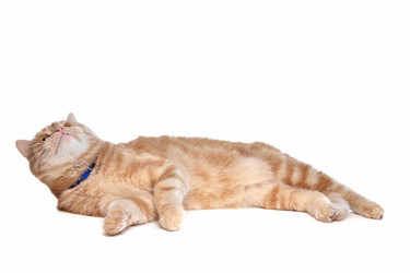 Similar image 1472709