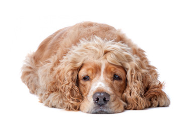 Similar image 1472716