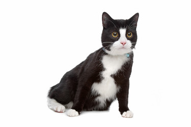 Similar image 1472718