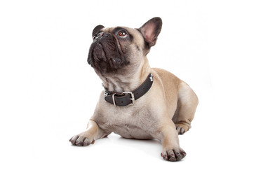 Similar image 1472722