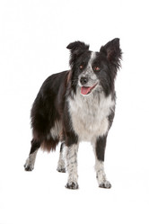 Similar image 1472727