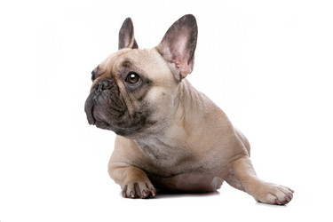 Similar image 1472740