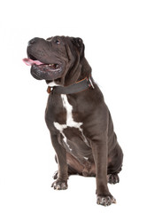 Similar image 1472743