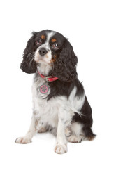 Similar image 1472746