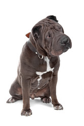 Similar image 1472747