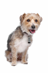 Similar image 1472761