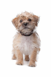 Similar image 1472770