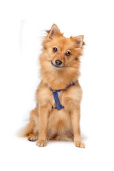 Similar image 1472772