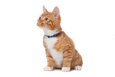 Similar image 1472773