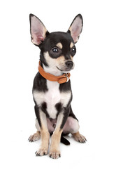 Similar image 1472775