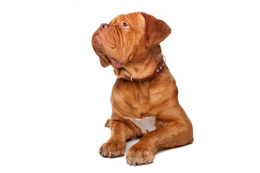 Similar image 1472776