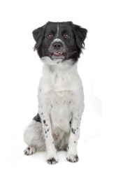 Similar image 1472782