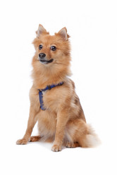 Similar image 1472783