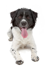 Similar image 1472787