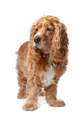 Similar image 1472791