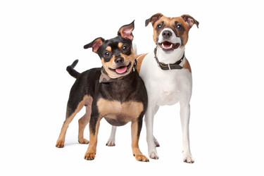 Similar image 1472796