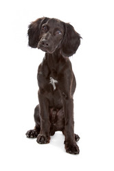 Similar image 1472809