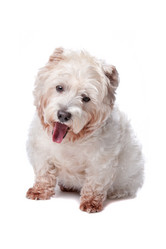 Similar image 1473040