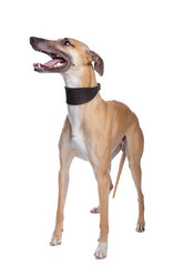 Similar image 1473046