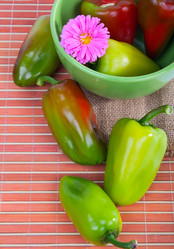 Similar image 1473056